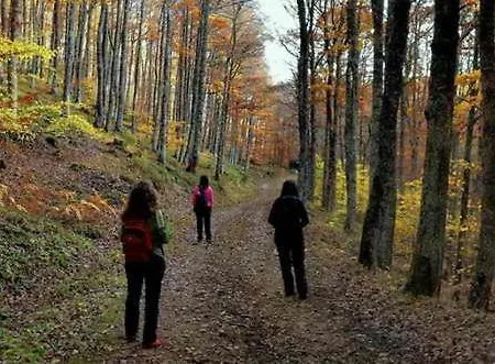 Vallucos * San Martín de Elines