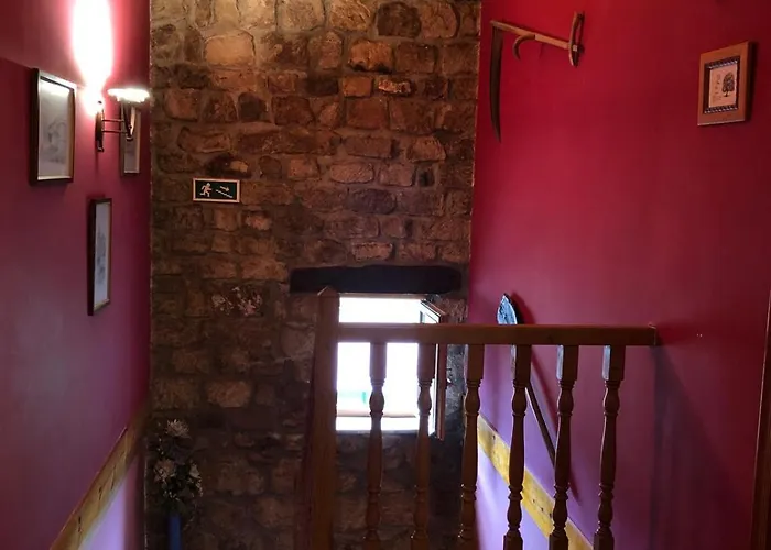 Vallucos San Martín de Elines