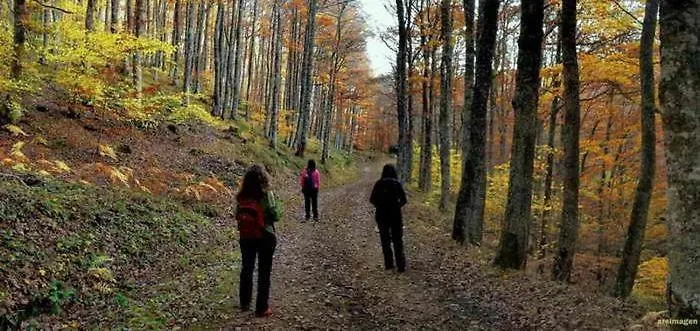 Vallucos * San Martín de Elines